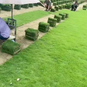 马尼拉