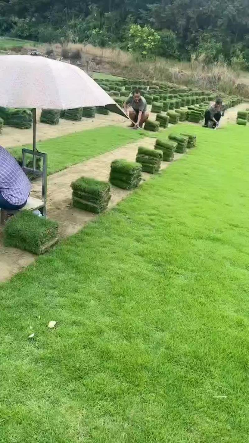 马尼拉