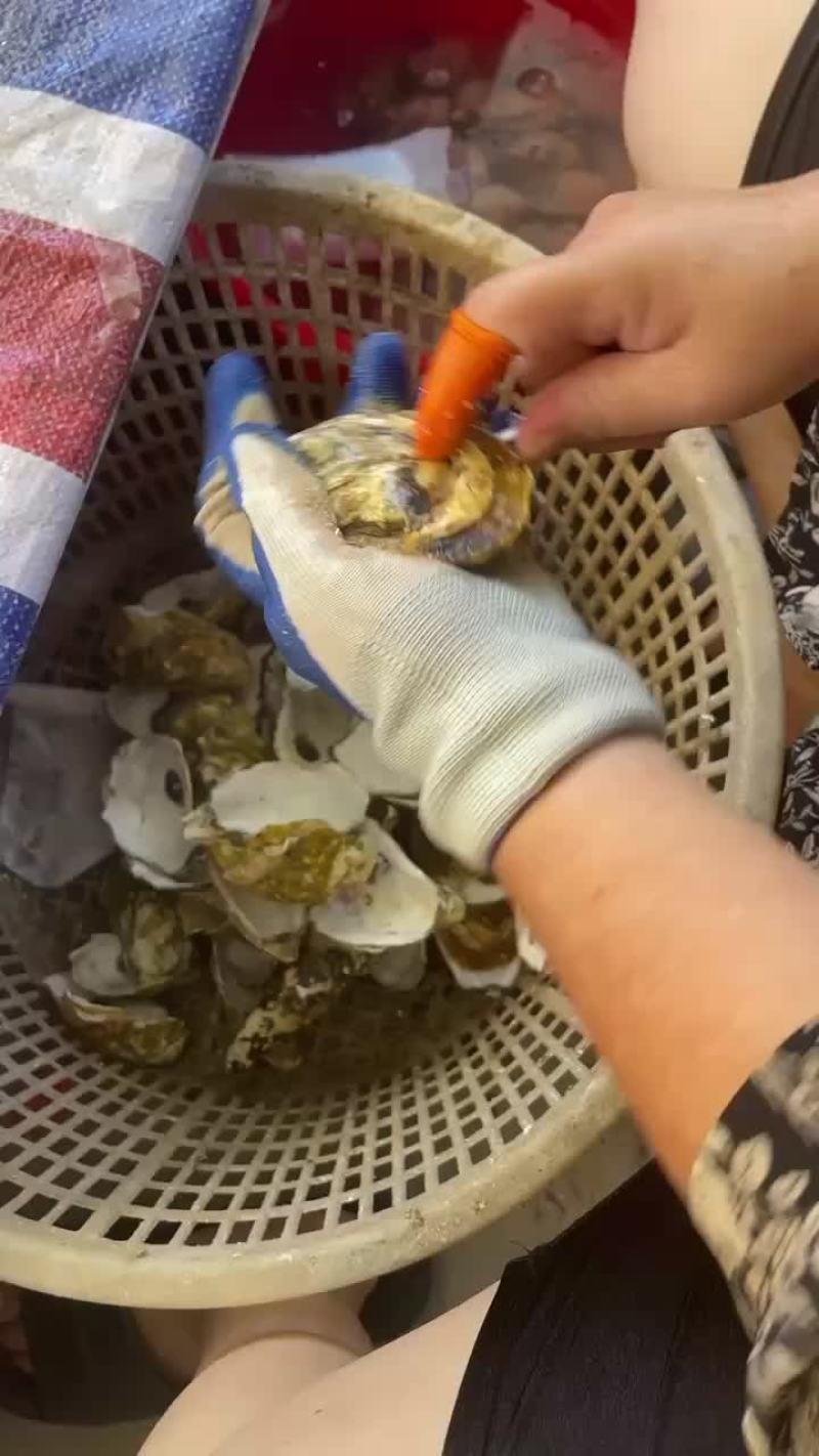 生蚝
