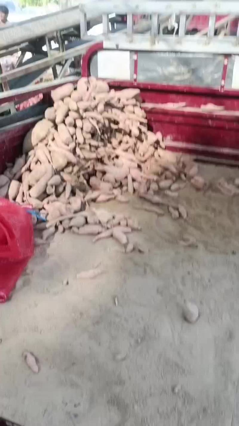 河南开封祥符区龙九加工厂货