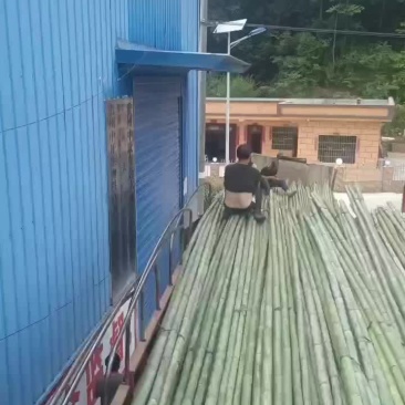 外架竹竿