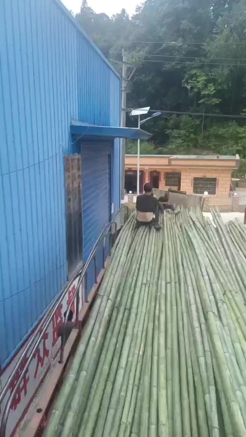 外架竹竿