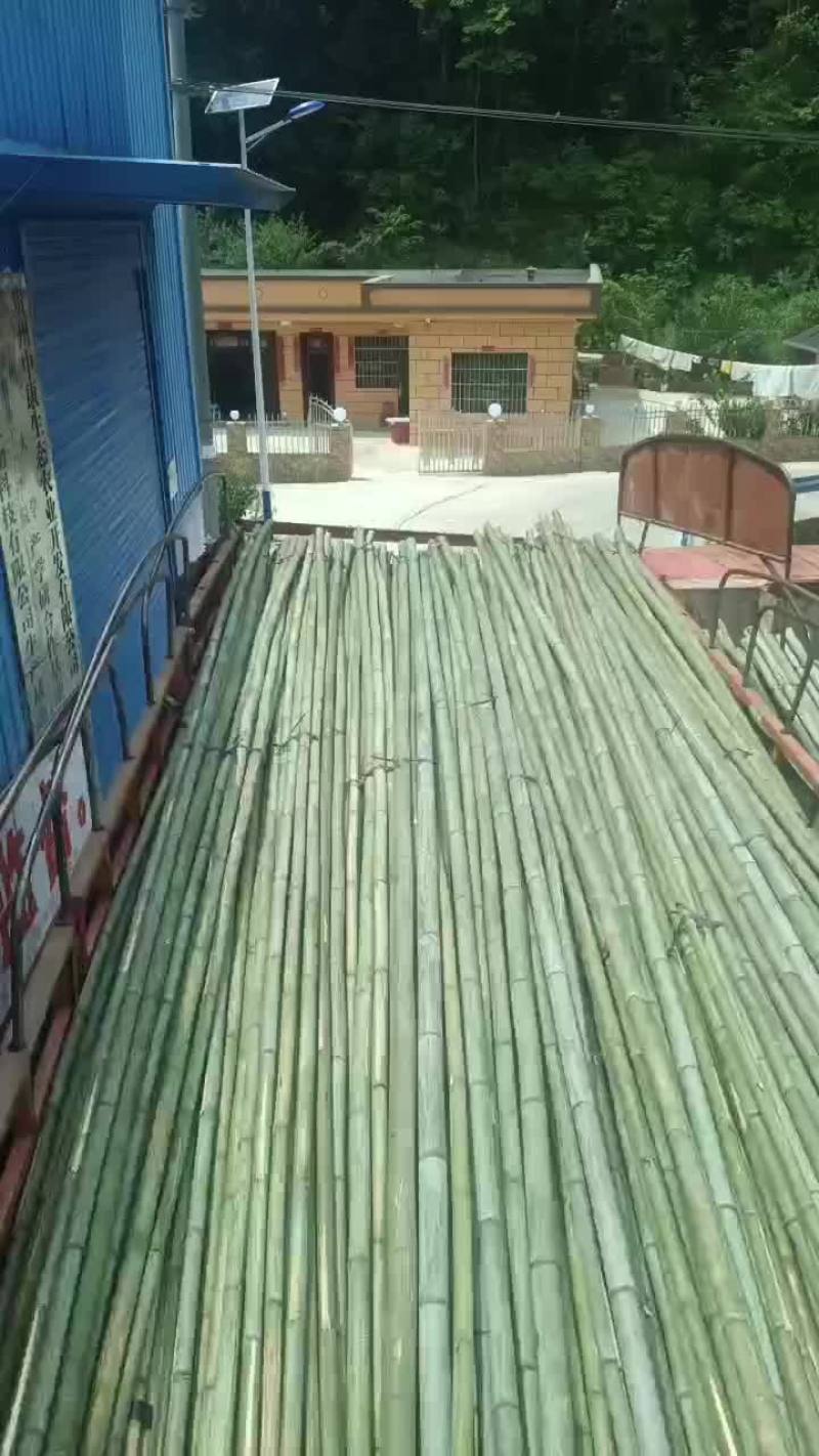 外架竹竿