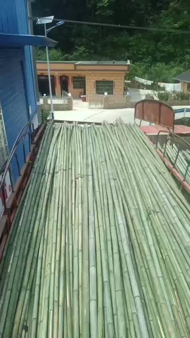 外架竹竿