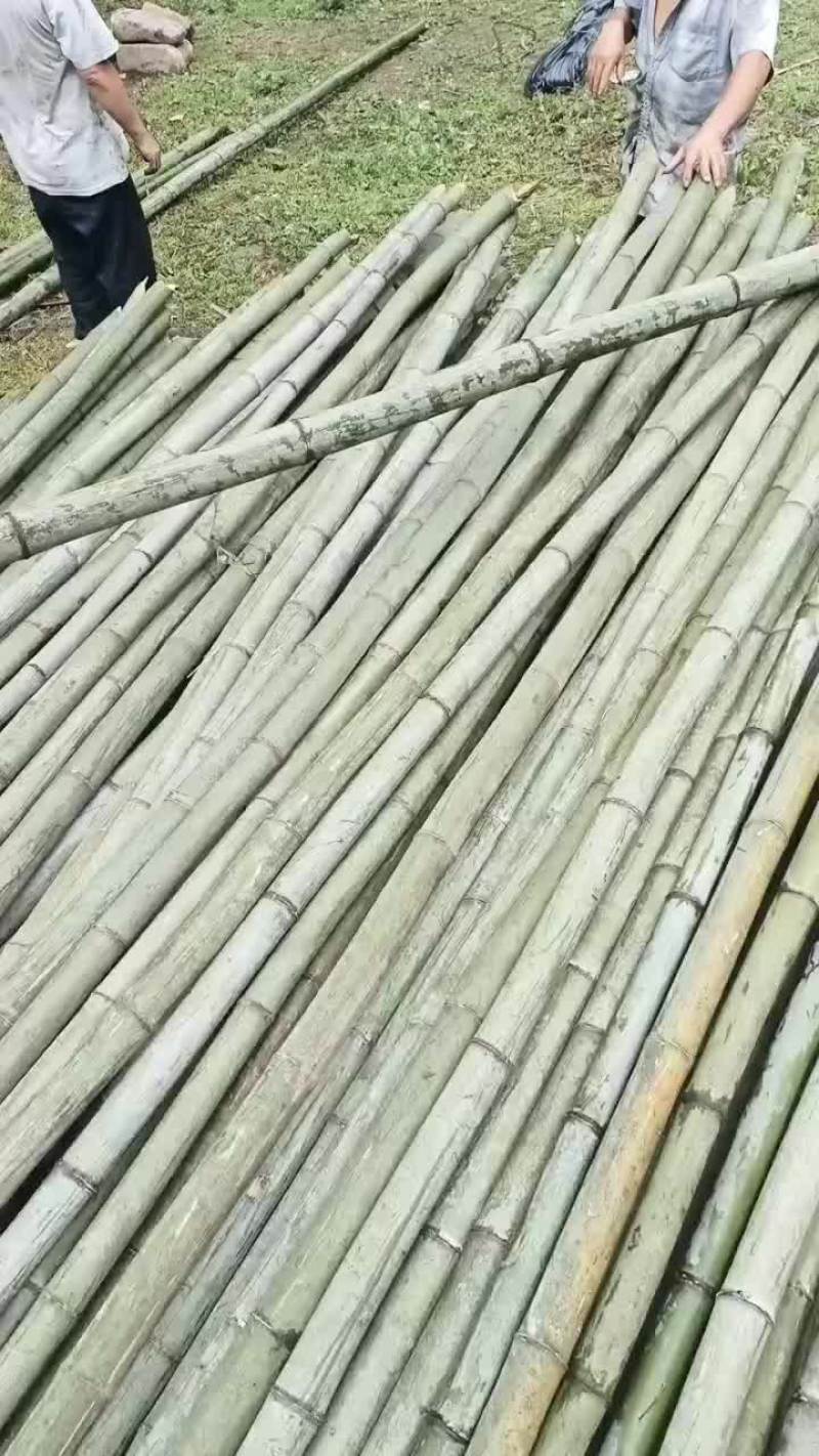 外架竹竿