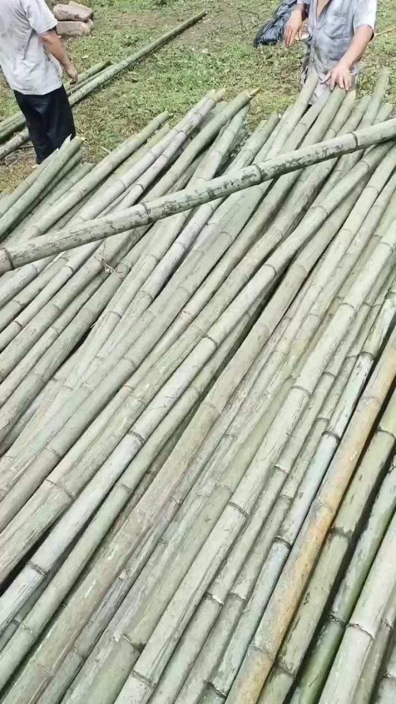 外架竹竿