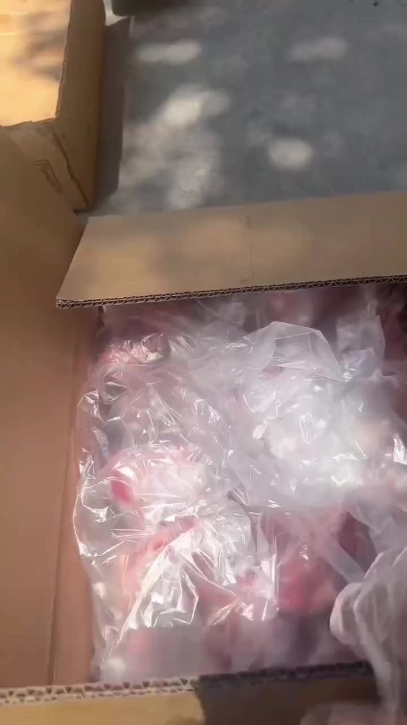 精品棒骨