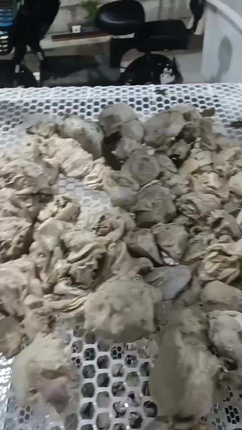 10分熟，五香羊奶扎，适用于羊汤馆，爆炒，有需要的老板可