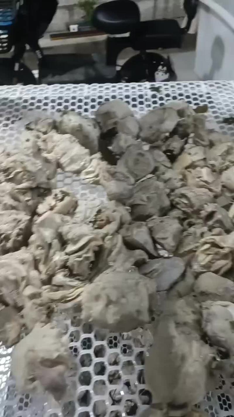 10分熟，五香羊奶扎，适用于羊汤馆，爆炒，有需要的老板可