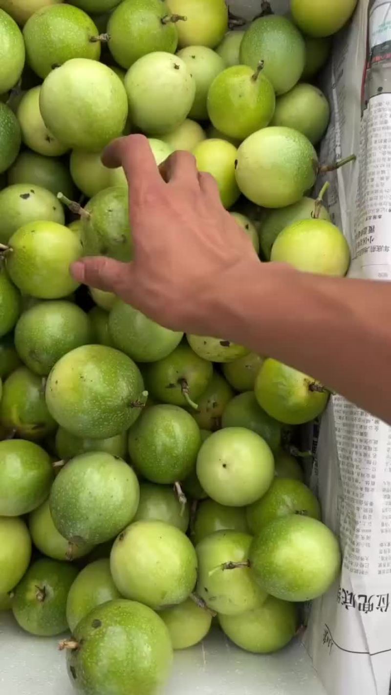 黄金百香果钦密九号
