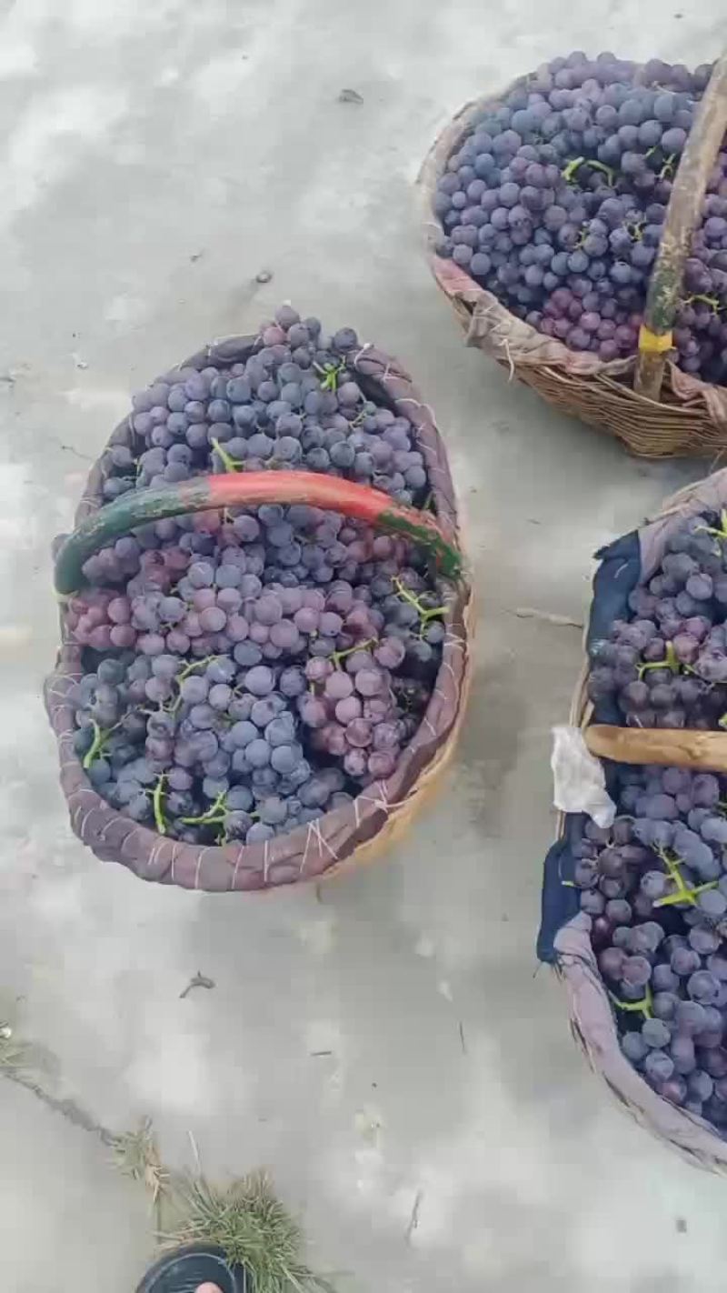 巨峰葡萄
