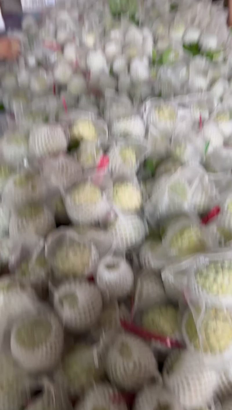 正宗樟林林檎果番荔枝释迦大目林檎果