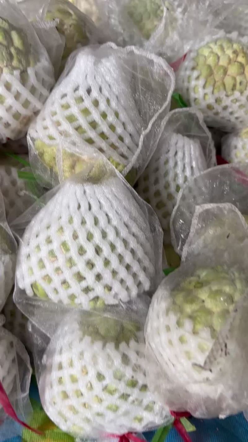 正宗樟林林檎果番荔枝释迦大目林檎果
