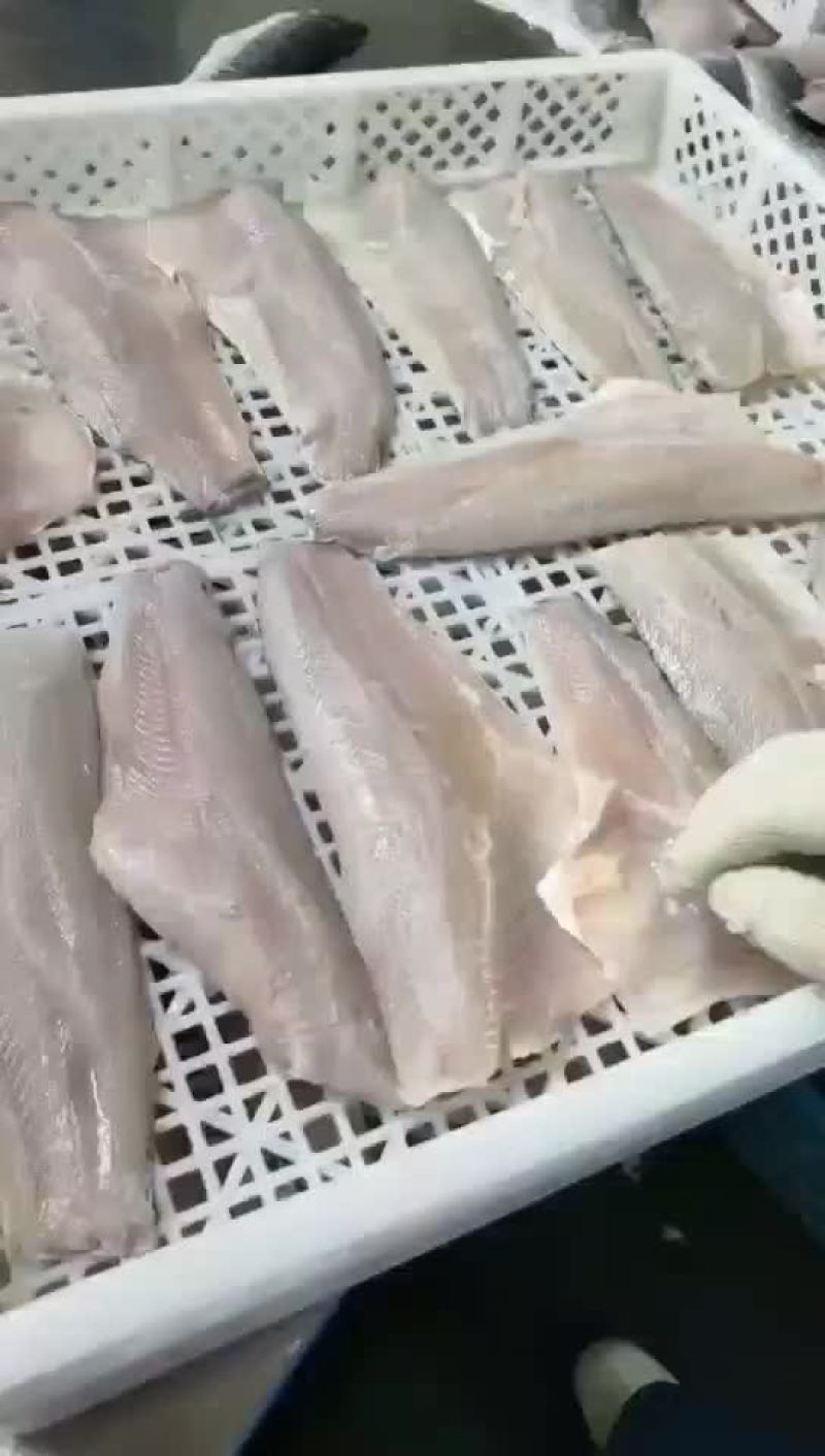 黑鱼柳