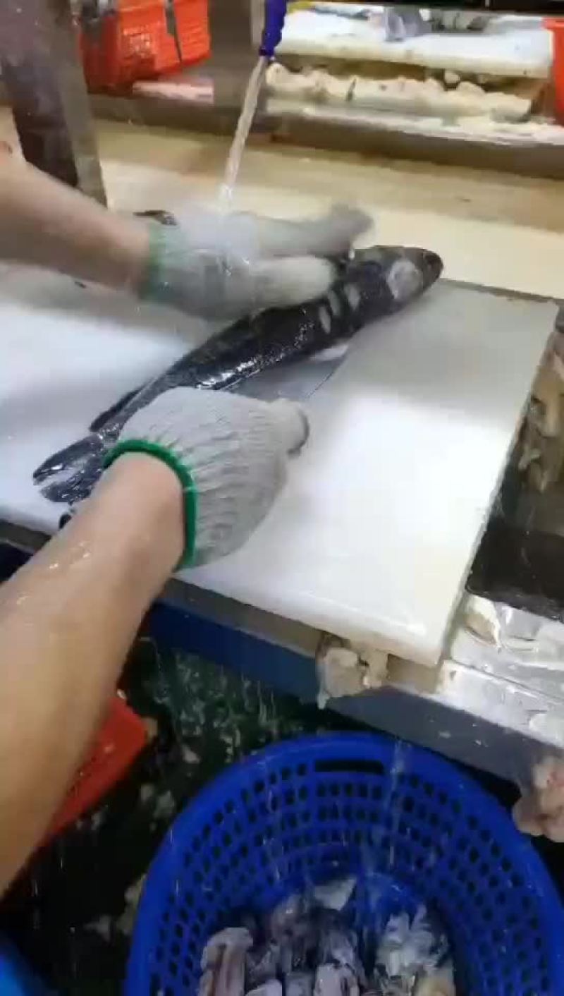 黑鱼柳