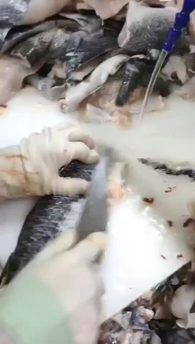 黑鱼柳