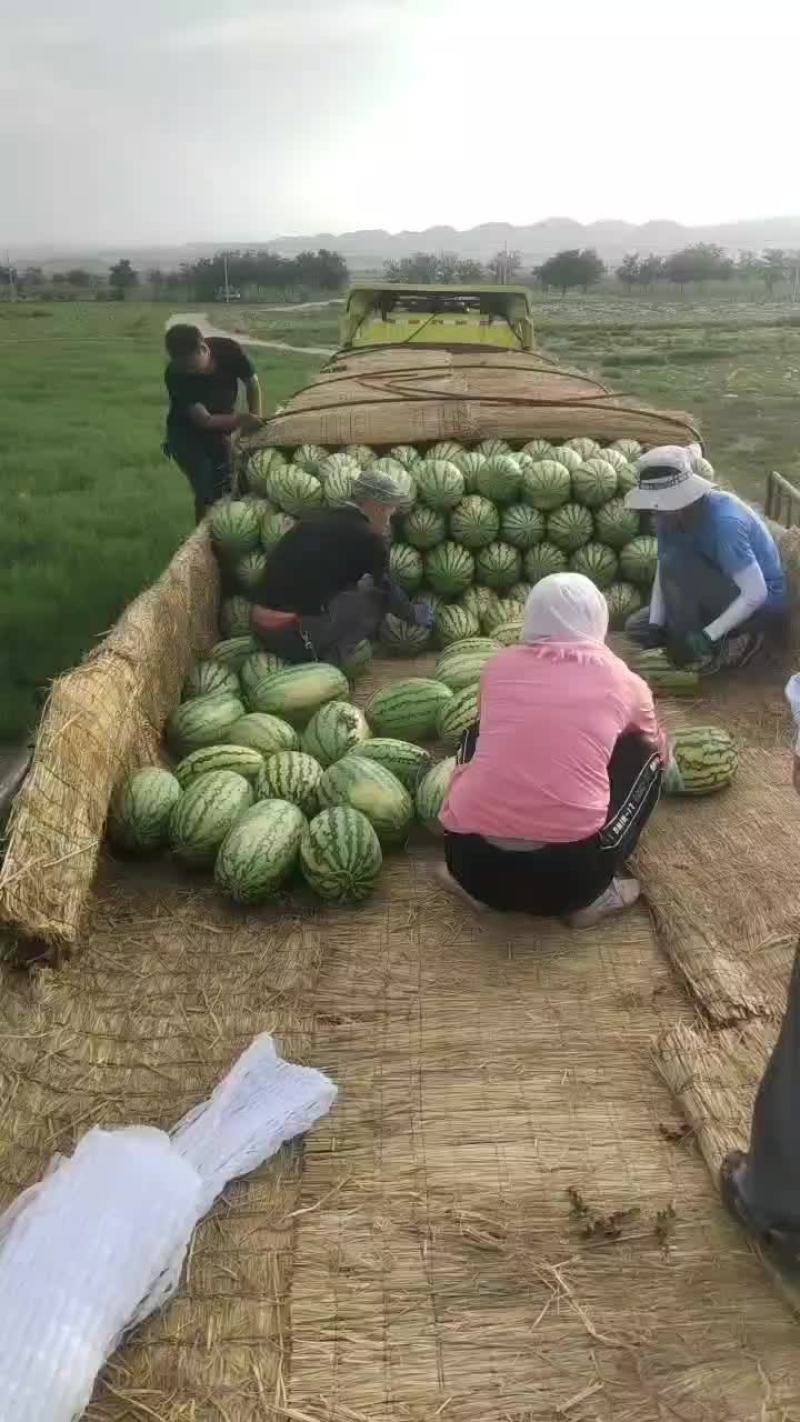 宁夏硒砂瓜