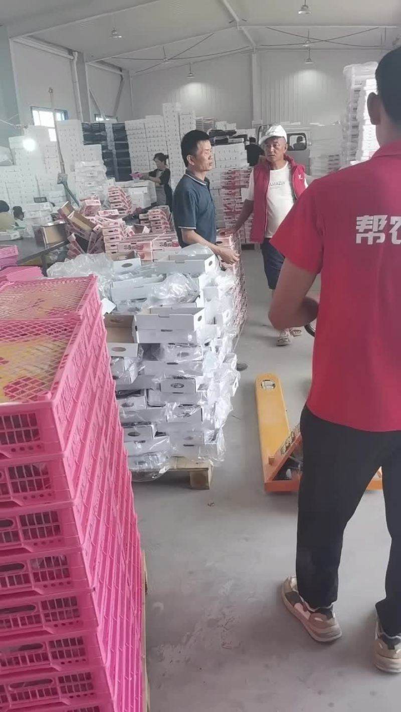宁夏玲珑