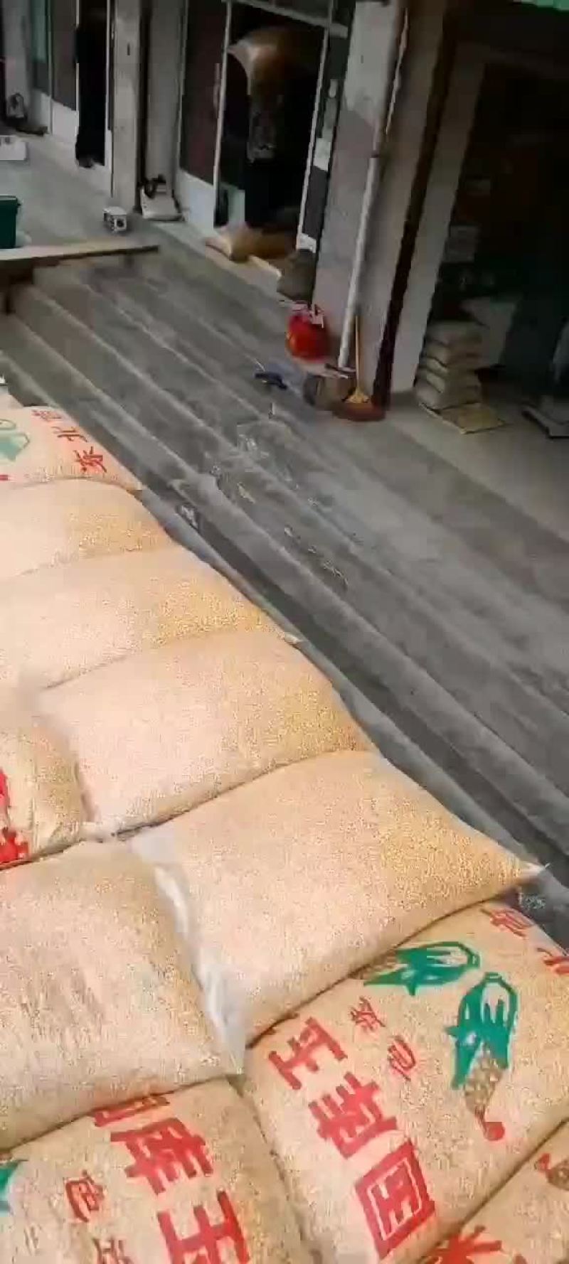 常年供应干玉米粒，供应加工厂及养殖场，品质一如既往，质量