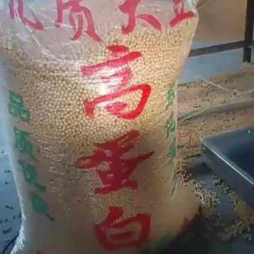 拜泉县大豆