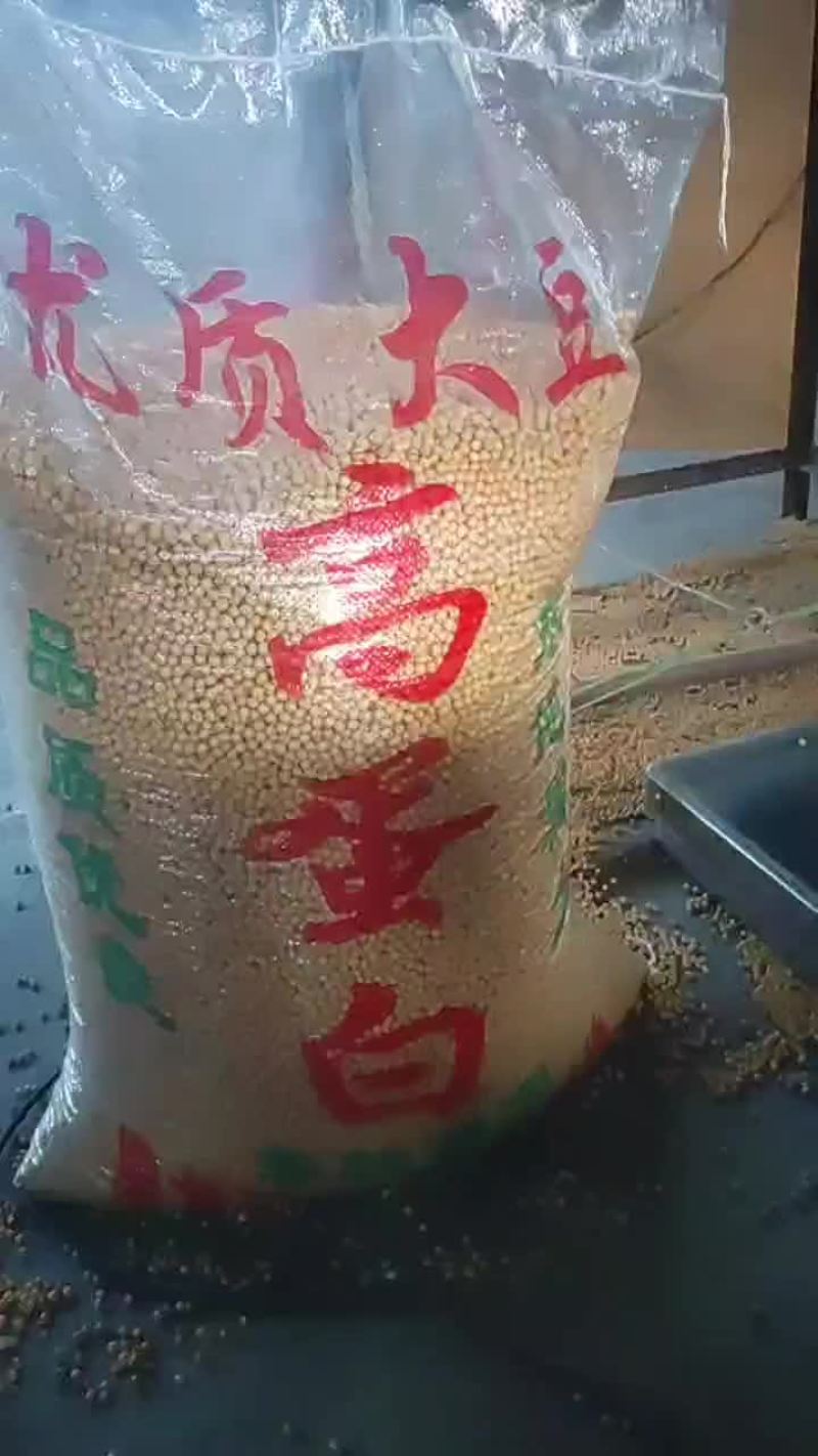 拜泉县大豆
