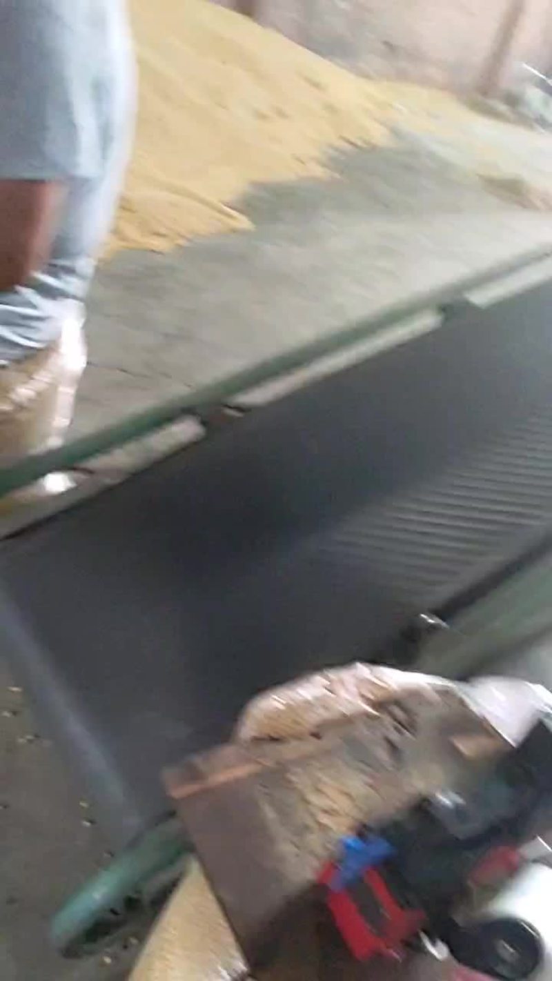 拜泉县大豆