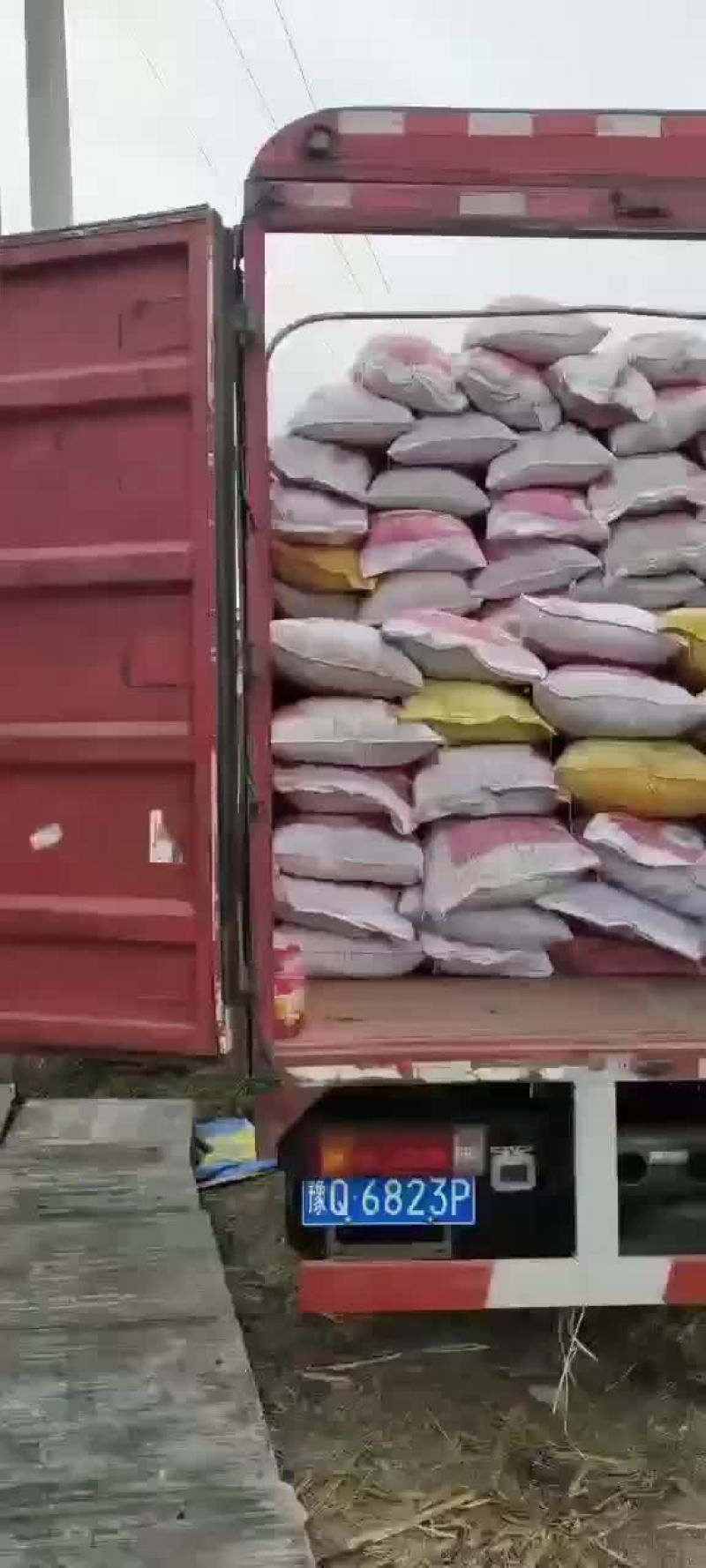 河南干羊粪蛋，货到付款，货真价实，让你真正买的放心