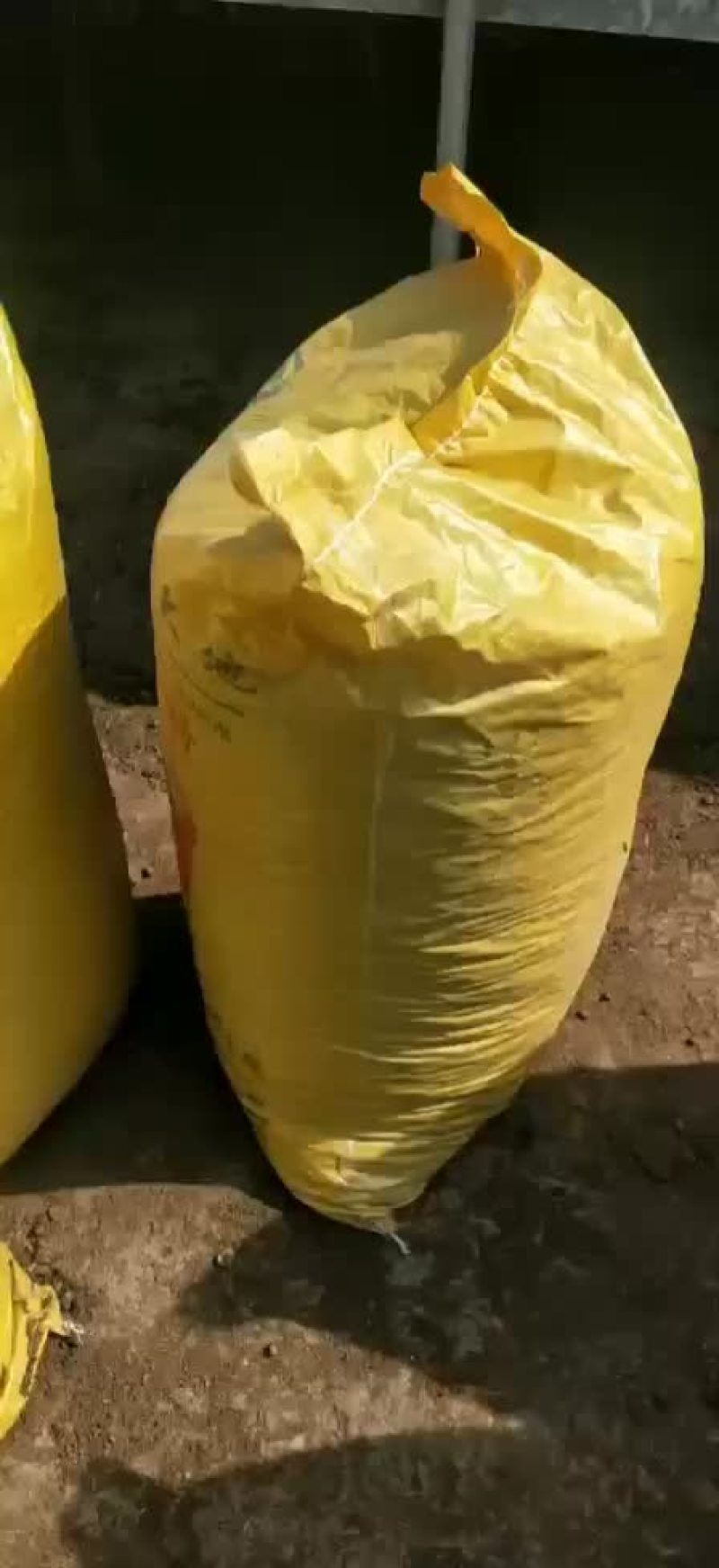 河南干羊粪蛋，货到付款，货真价实，让你真正买的放心