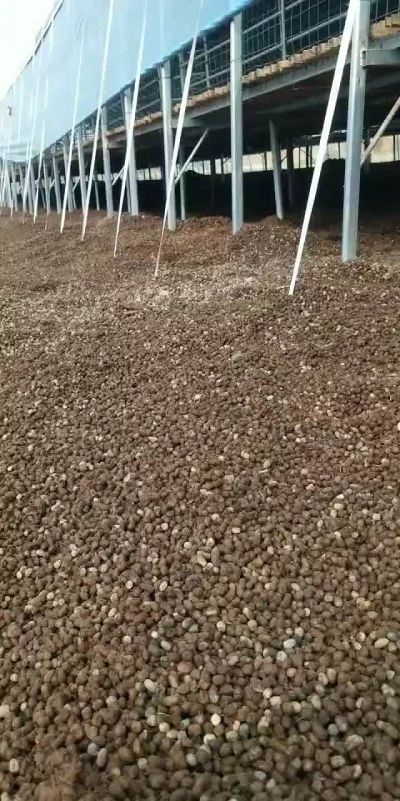 河南干羊粪蛋，货到付款，货真价实，让你真正买的放心