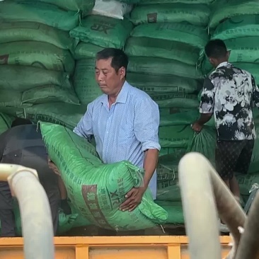 河南干羊粪蛋，货到付款，货真价实，让你真正买的放心