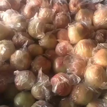 秦王超越毛桃已上市，纸袋膜带都有。