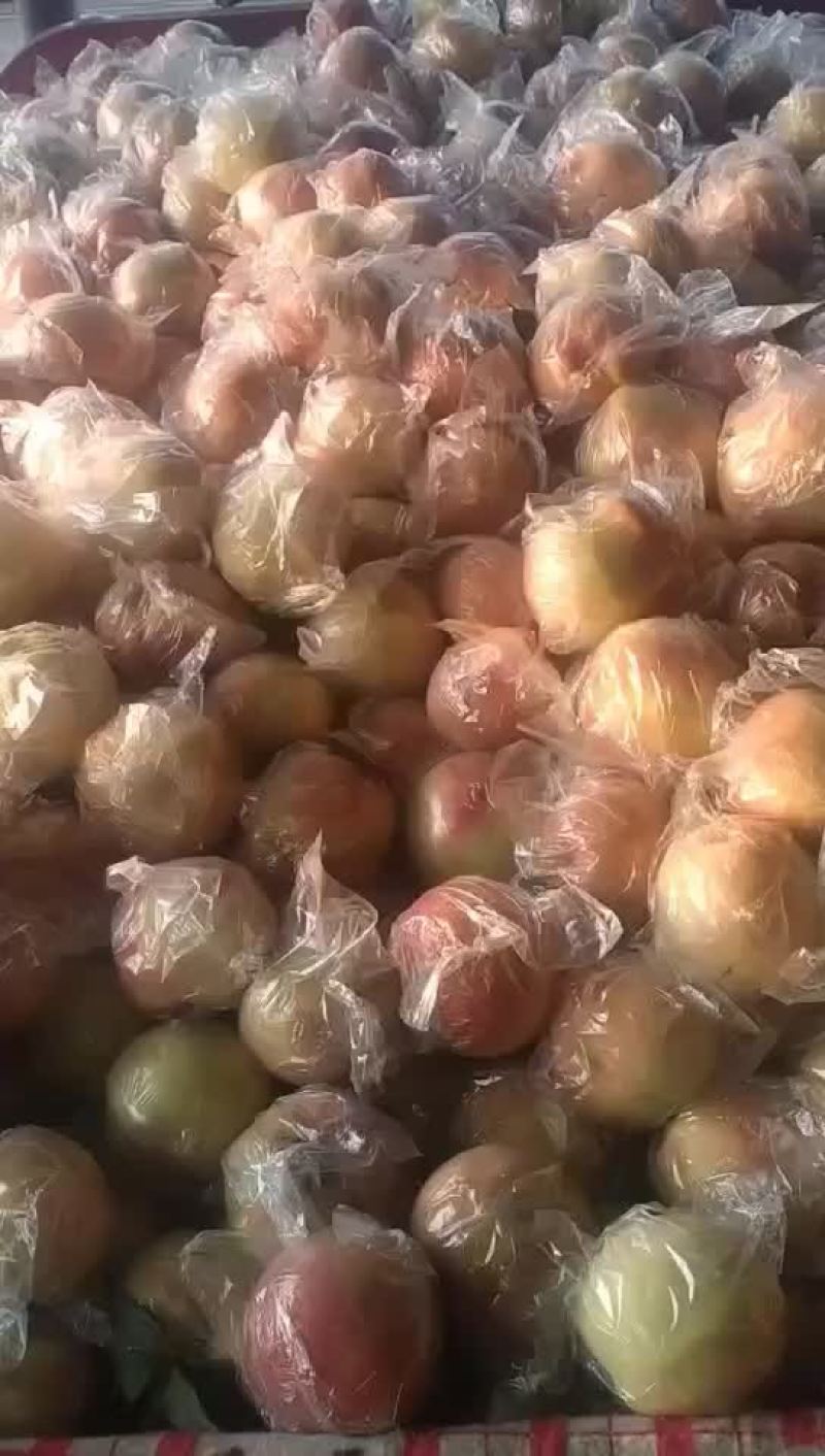 秦王超越毛桃已上市，纸袋膜带都有。
