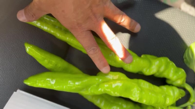 【牛商推荐】辽宁凌海螺丝椒，牛角椒大量现货超低价格