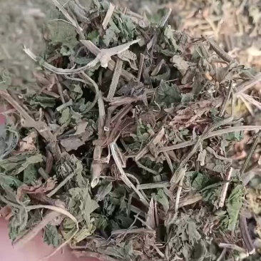 葎草个子