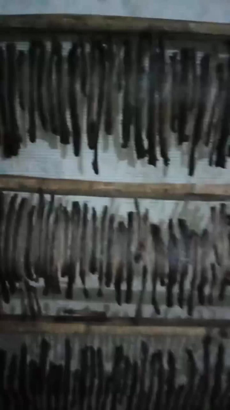 野地龙干，全开，