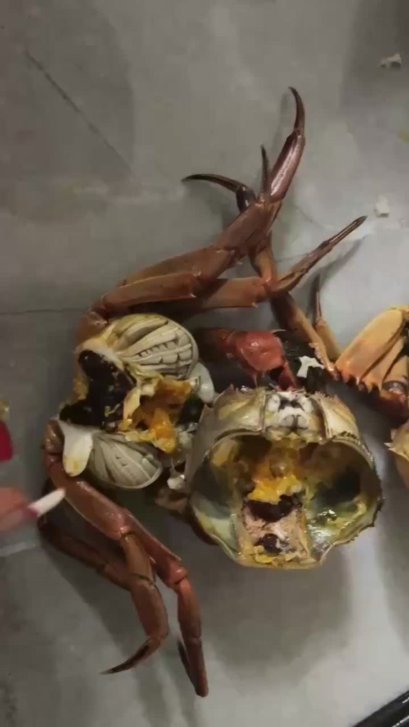 微山湖大闸蟹
