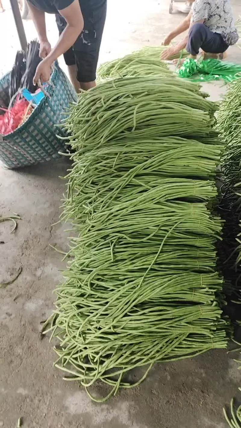 长豆角大量上市了