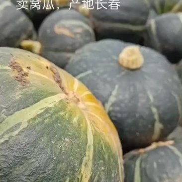 卖窝瓜产地直供