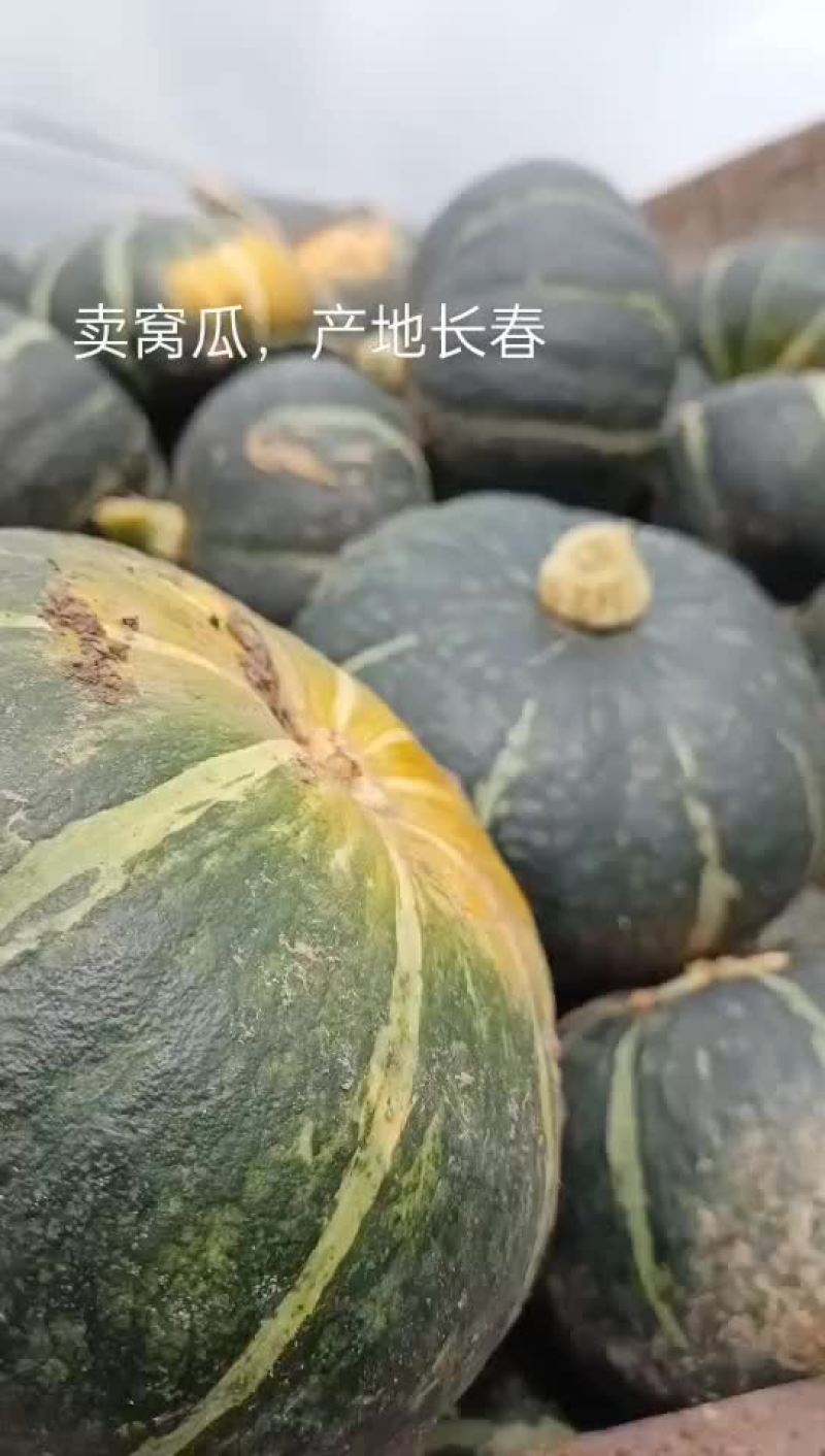 卖窝瓜产地直供