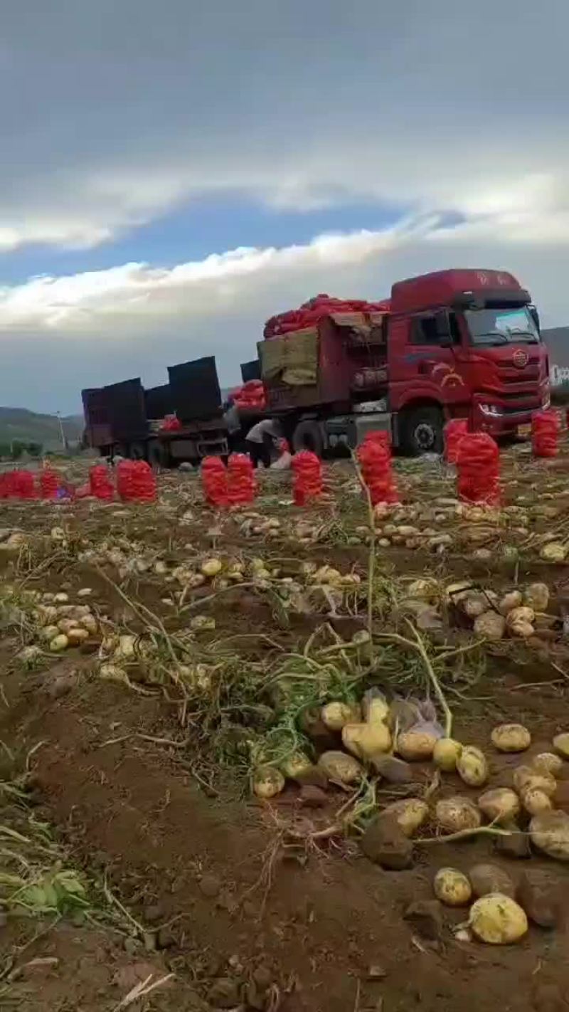 三优货价高