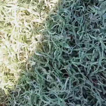 东北干调豆角丝儿