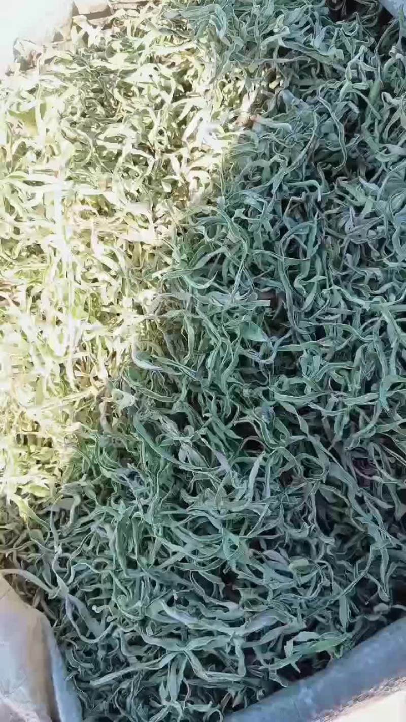 东北干调豆角丝儿