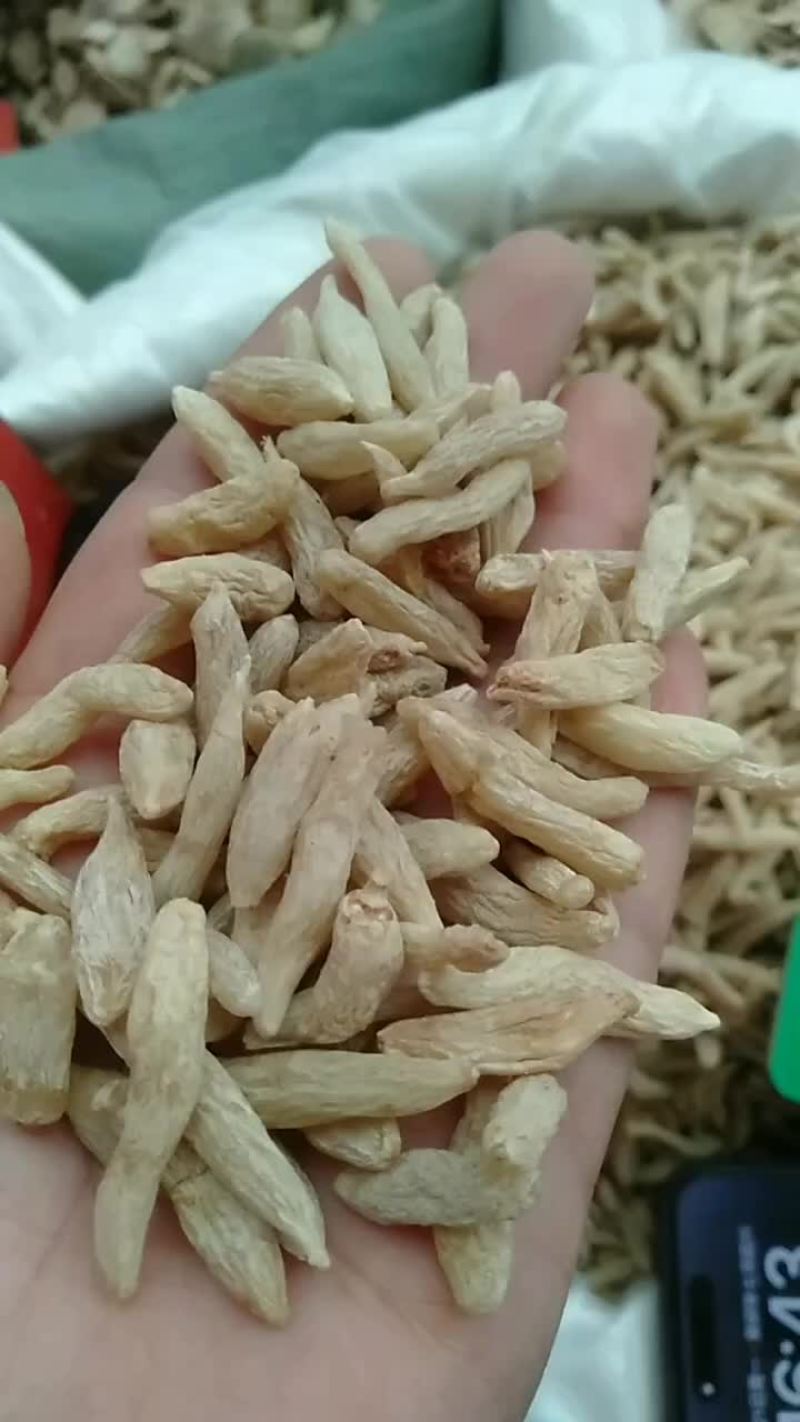 麦冬一手货源，产地直销，大货批发