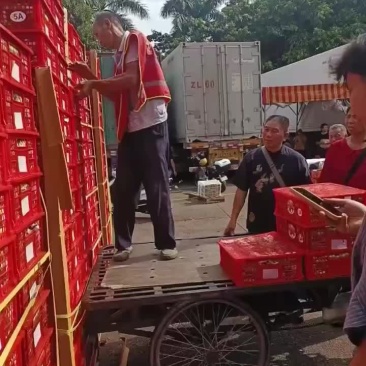 一手货源价格合适
