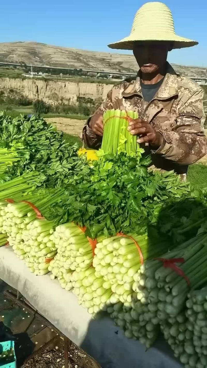 精品芹菜