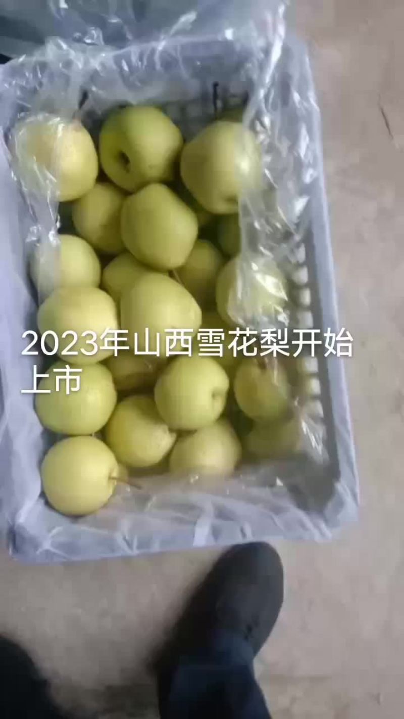 山西万亩梨园，晋伟梨果交易中心！