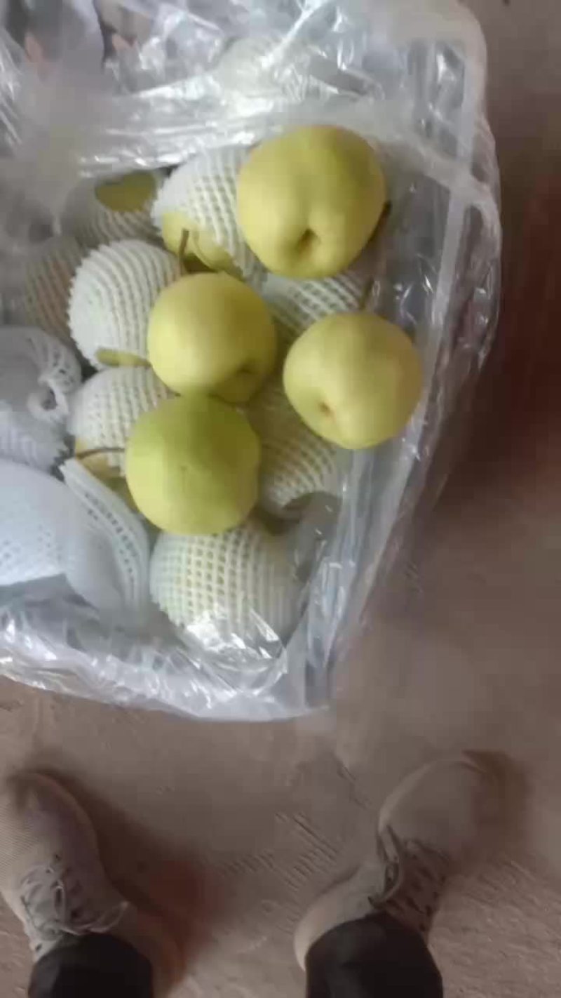 山西万亩梨园，晋伟梨果交易中心！