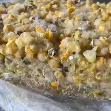 熟碎鹌鹑蛋