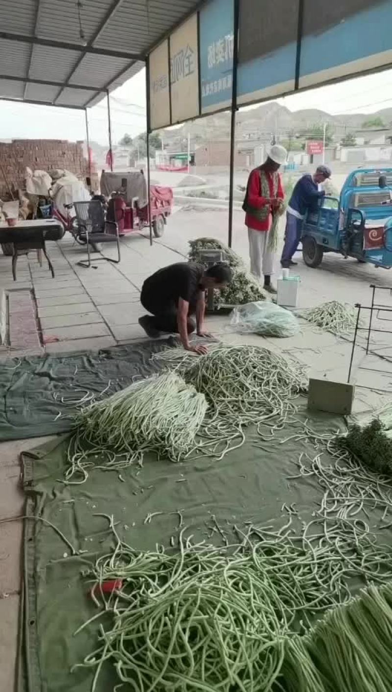 豆角豇豆