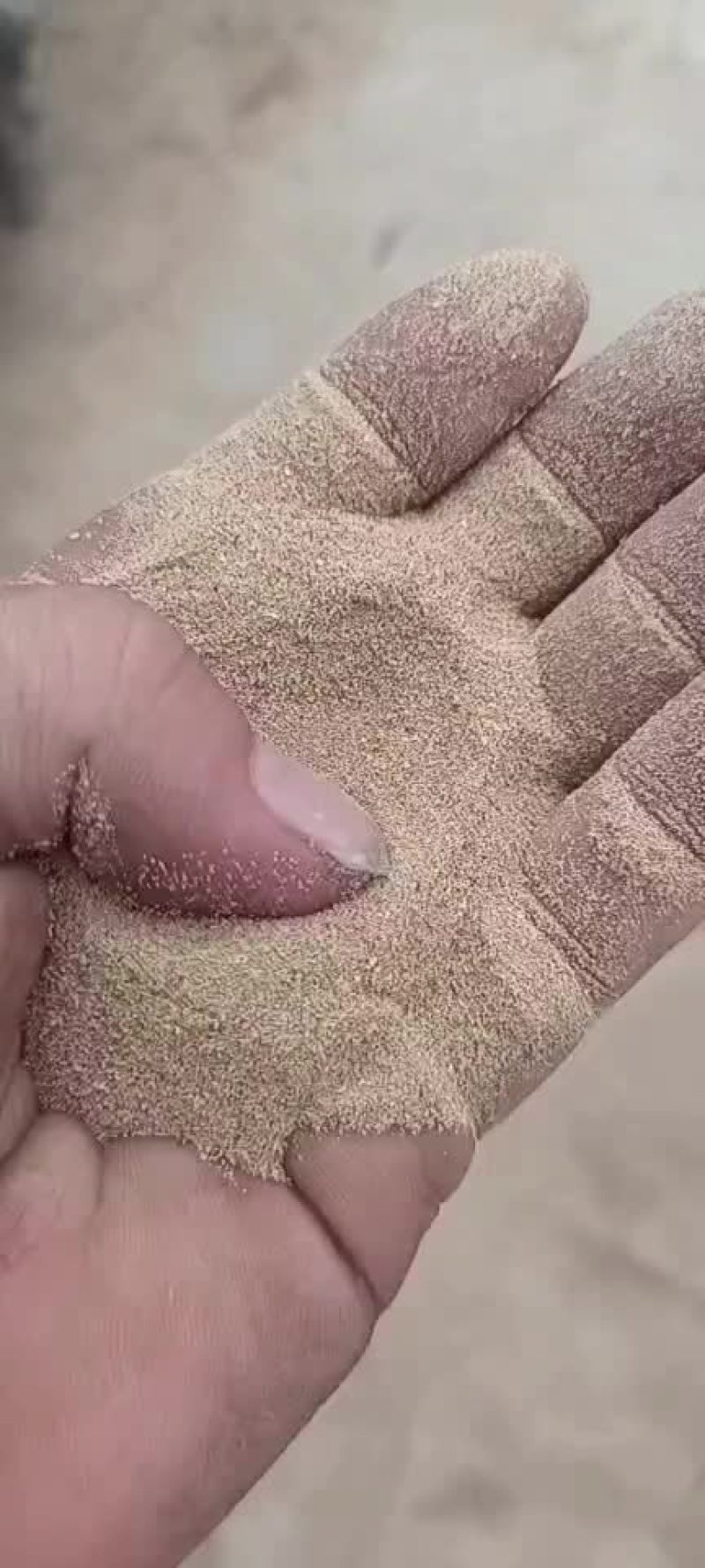 黄粉虫虫沙现货出，质量稳定可用于水产禽料猪料反